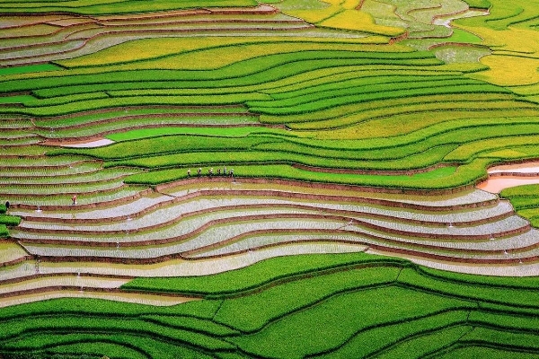 11 Days / 10 Nights -Sapa TuLe  MuCangChai MocChau PuLuong - photo 16